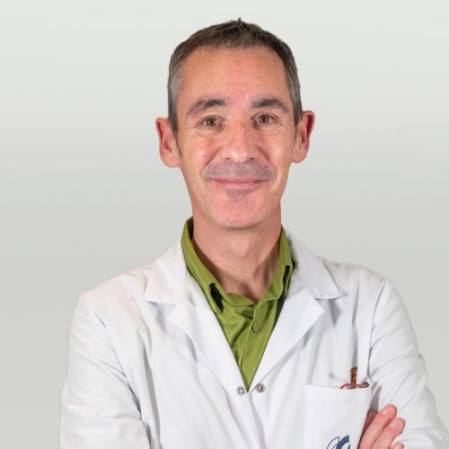 Dr. Luis Miguel Marco Pérez