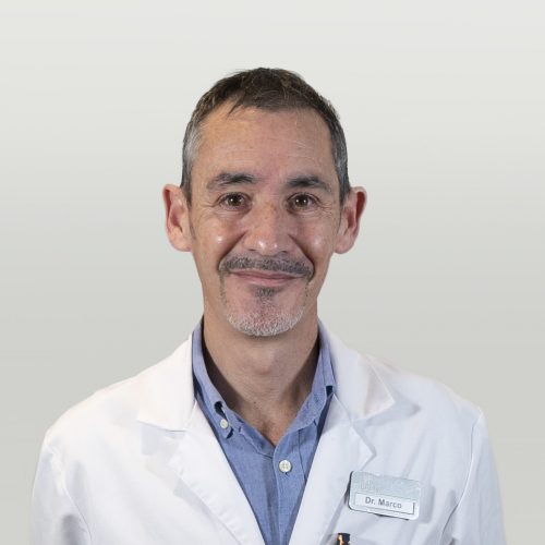 Dr. Luis Miguel Marco Pérez